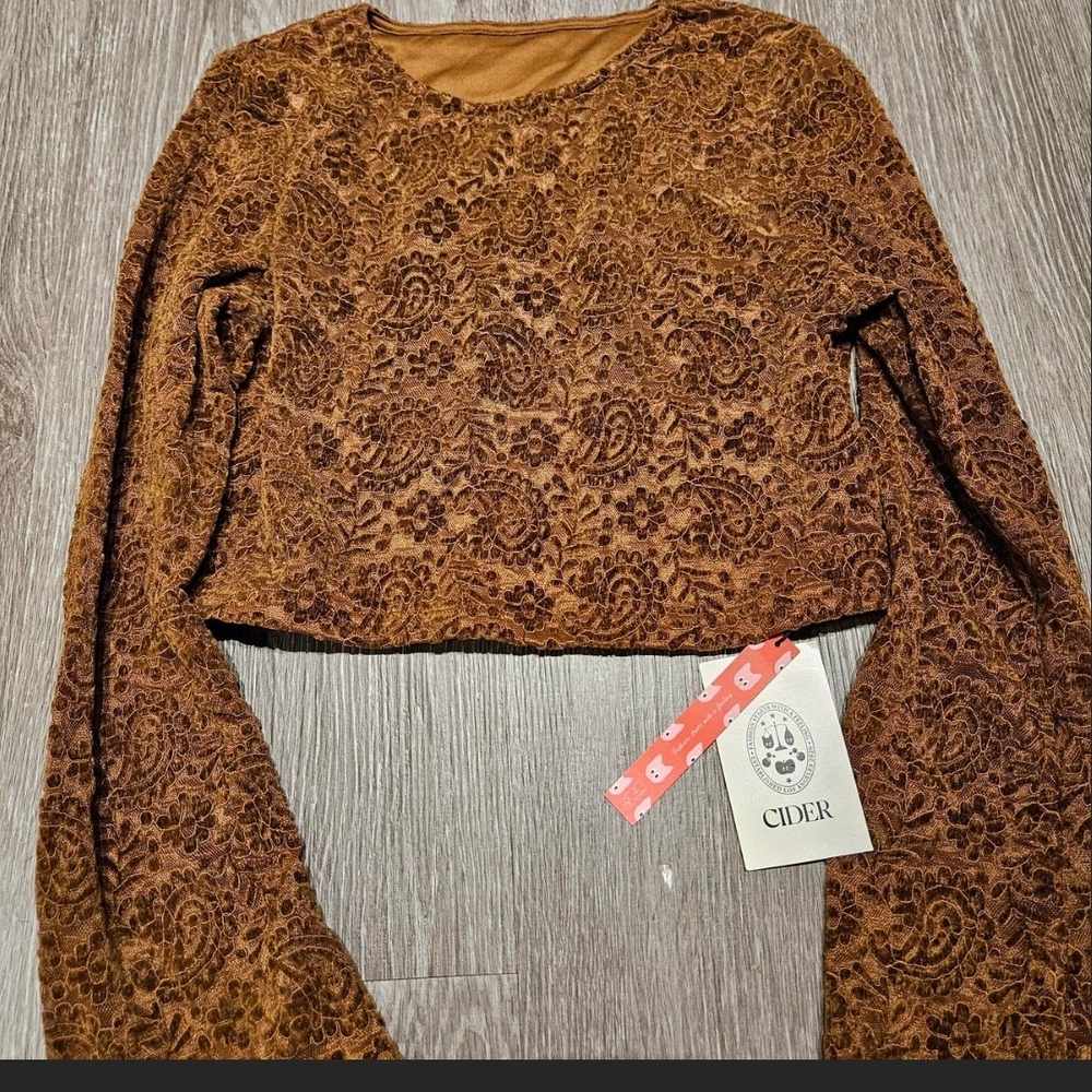 Cider Women's Rich Brown Velvet Blouse